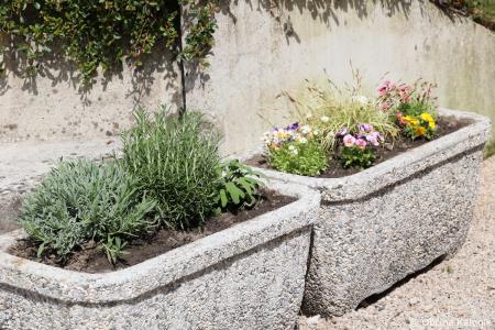 Dan športa na Osnovni šoli Stranje (75)